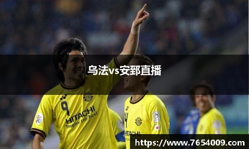 bsports登录入口