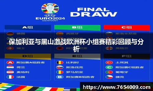 保加利亚与黑山激战欧洲杯小组赛精彩回顾与分析
